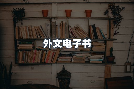 外文电子书